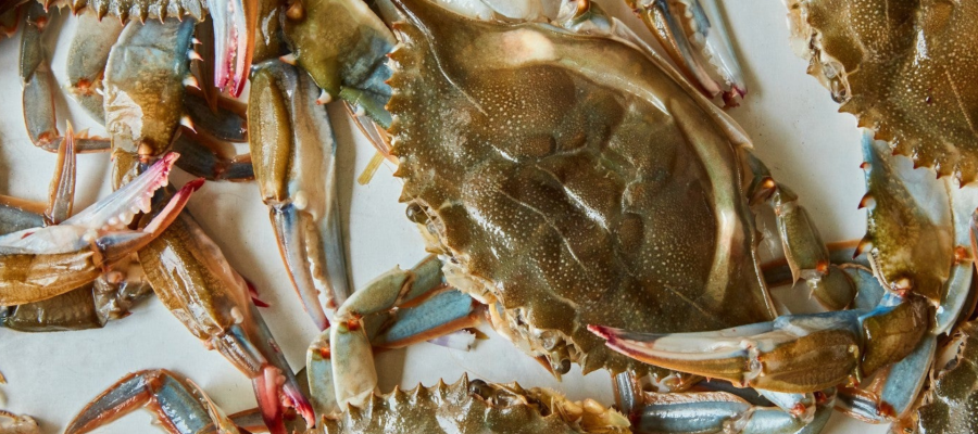 Crabs